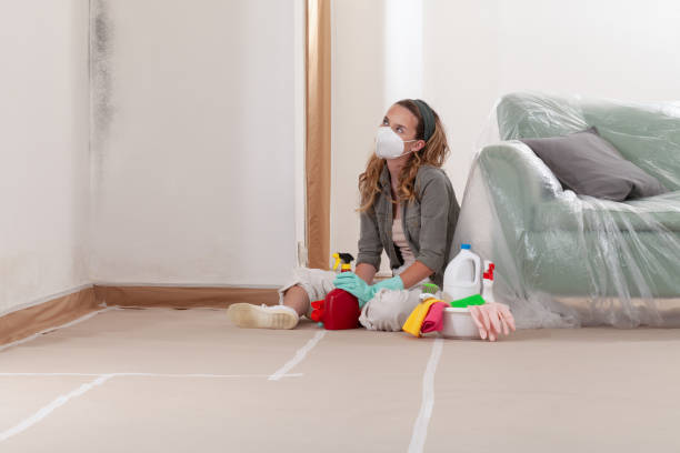 Reliable Mold Remediation contractor in Mount Airy, NC by WQB Mold Removal